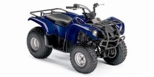Yamaha Grizzly 125 Automatic 2007