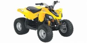Can-Am DS 250 2008