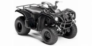 Yamaha Grizzly 125 Automatic 2009