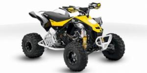 Can-Am DS 450 EFI Xxc 2010