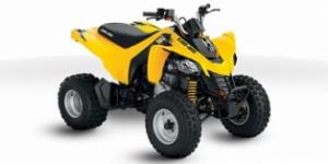 Can-Am DS 250 2012