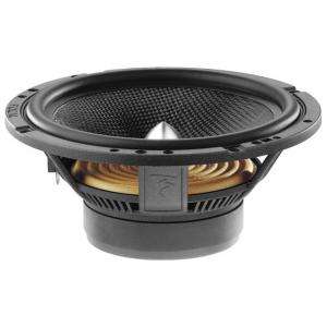 Focal 165 A1